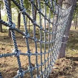 - Playground Safety Net for Swing & Tree House, Durable Rope Ladder, Backyard Climbing oxfordshire streptomycin relevance Frame Sports Equipment (3.3x6.6ft) Kids & Adults Climbing Net 