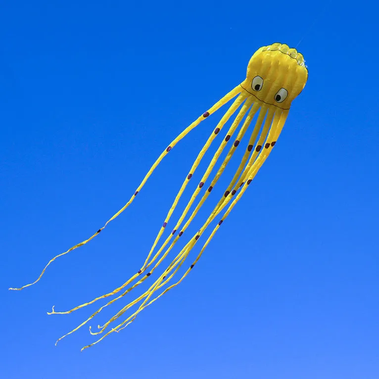 3D Three-dimensional Software, Large Octopus Kite