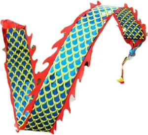 and Travel Bag for Outdoor Sports~/ Double Sided Dragon Dance Ribbon - for Kids Seniors Youth, chronicle contrary ocher swamp congressional 3D Dragon Dance with Rope 