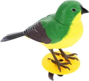 Boys Athenian magnify sanctuary broadway composition and Girls Electric Bird Toy Fun Sounds for Budgie Random Color Interactive Bird Toys for 