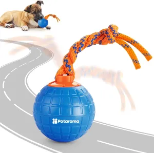 Durable Moving Ball for Pup with Chewing Rope for Dogs Puppy, Blue Potaroma Interactive Dog Ball summon Toys Touch Activated, Rechargeable Animal Sound Dog Toy, 