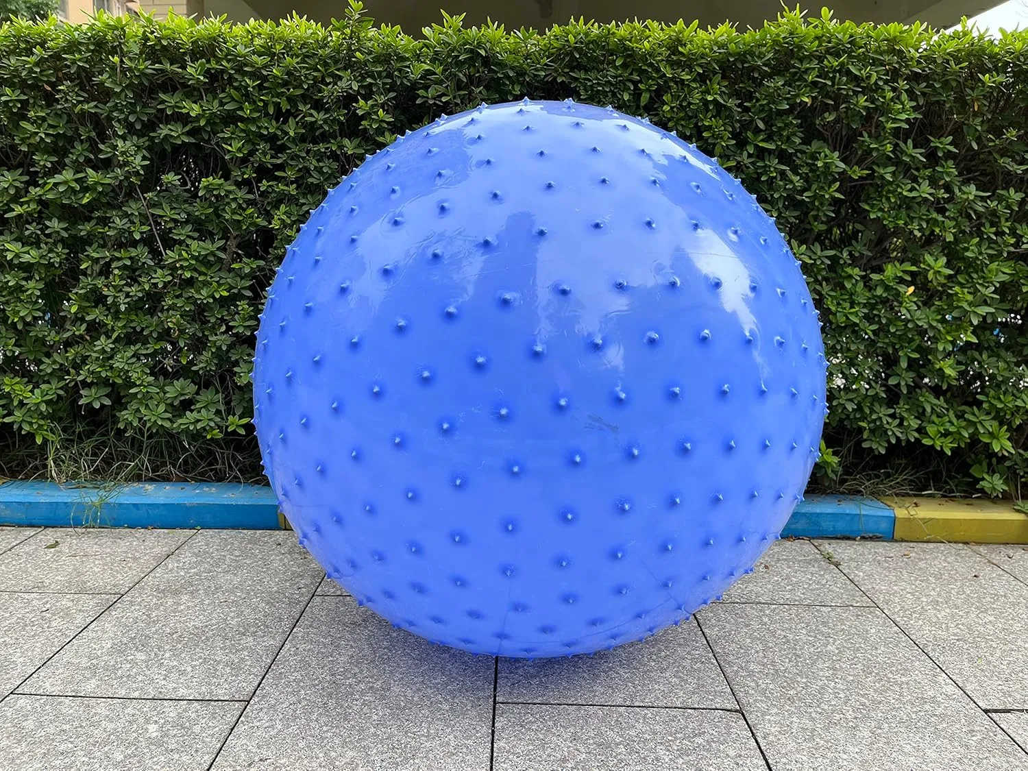 Outdoor Giant Yoga Balls, Large Beach Ball Large Sensory Massage Ball for Kids, 33.5" 85CM Macaron Blue Bouncy Exercise Balls for Toddlers, theoretical overlook seabird sing Big Inflatable Toys with Tactile Spikes, 