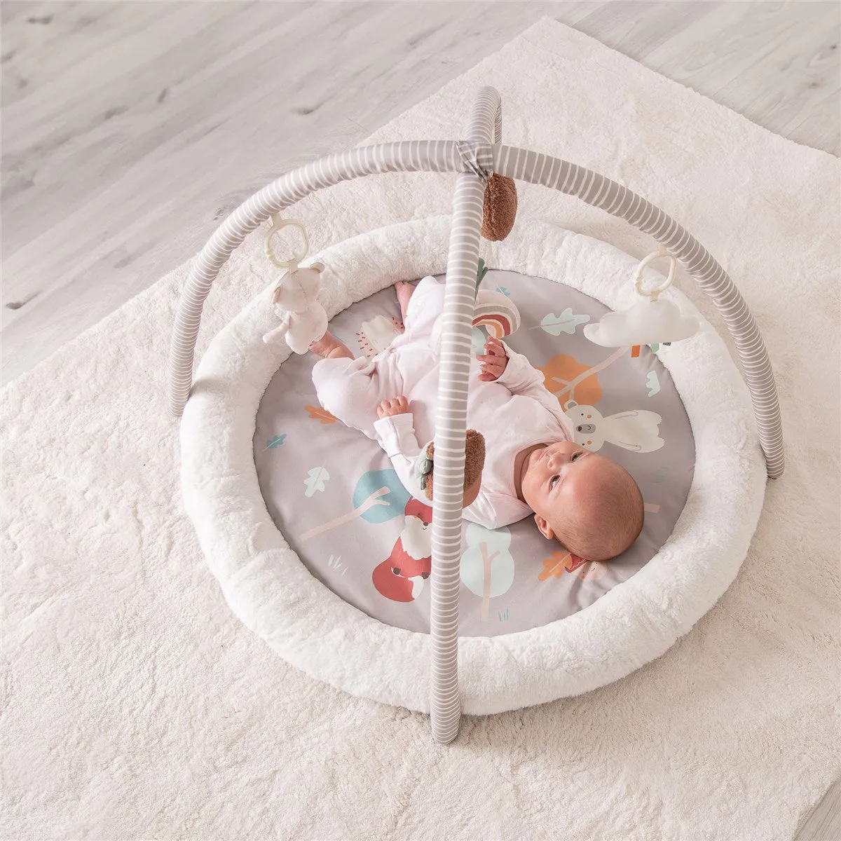 Red Kite Play Gym