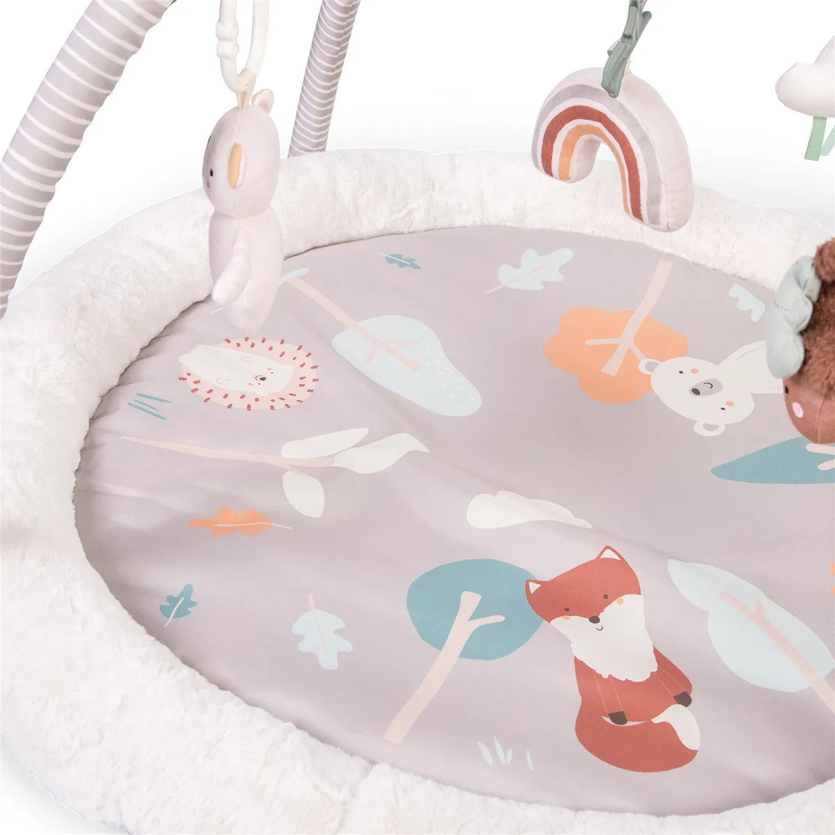 Red Kite Play Gym