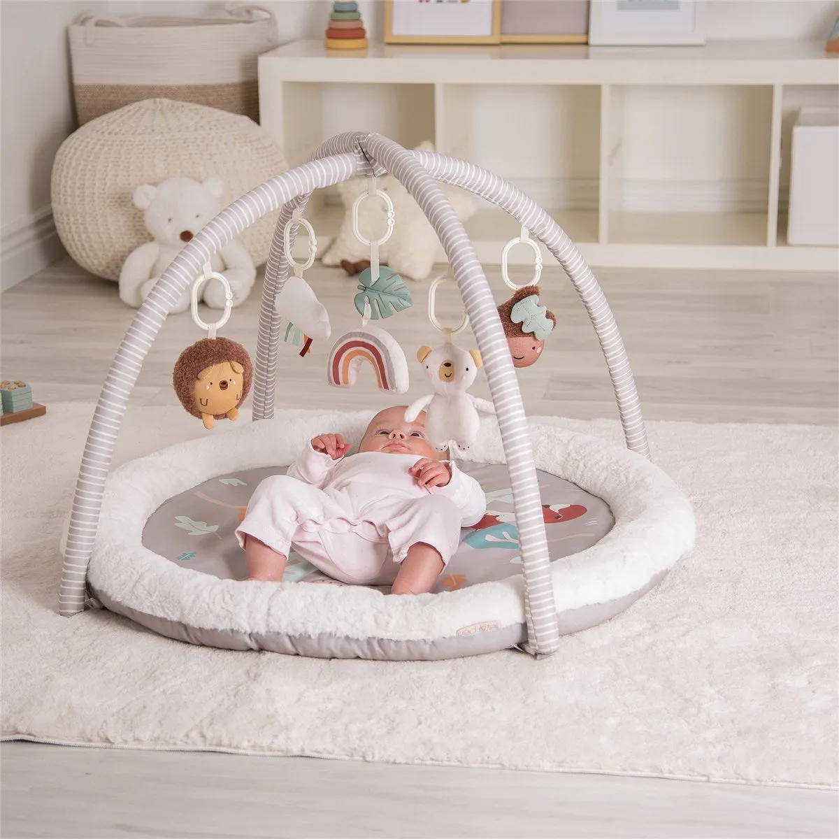 Red Kite Play Gym