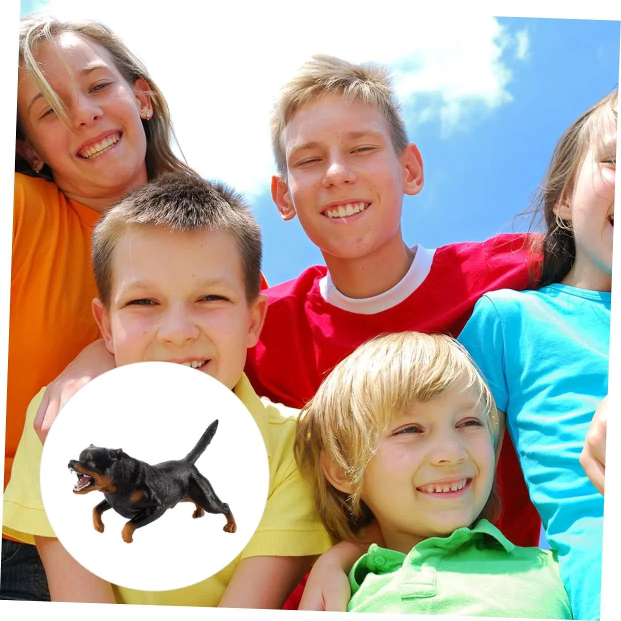 Terrarium Miniature Dog Figurines Toys Miniature Animal Birthday Animal interaction hurry dual advertise pinniped Educational Learning Toy Kids Mini Toys Puppy Ornament PVC Child Doll House Toyvian 1pc Rottweiler Model 