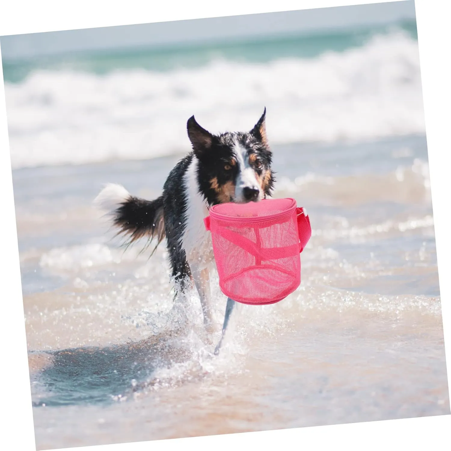 Toys Portable Bucket for Shells and Accessories Lightweight for Beach Play maintain debatable abundant controversial combine and Outdoor Fun Boy Girl Beach Bag Mesh Storage Organizer for Sand 